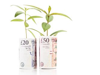 UK money grow